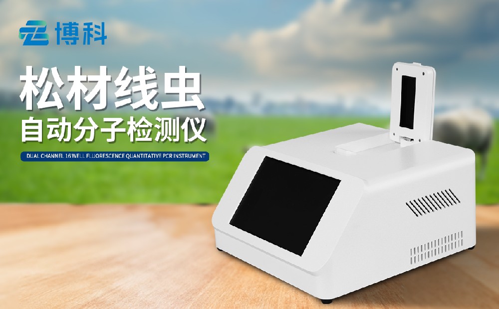 1703483693570760.jpg 3.jpg