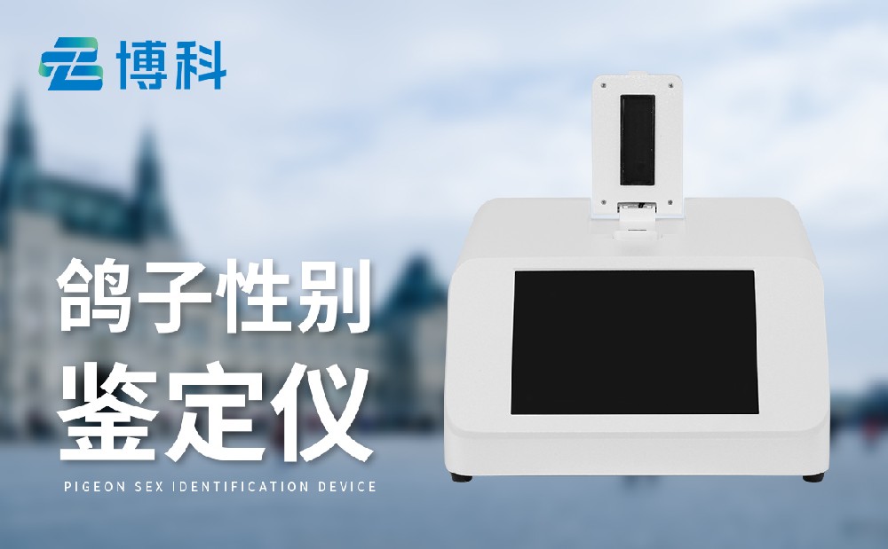 鸽子性别检测仪